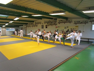 Entraînement au dojo USPK